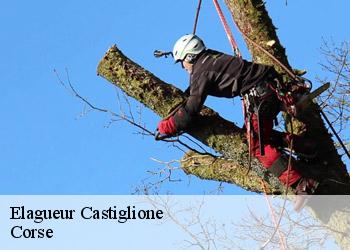 Elagueur  castiglione-20218 Corse
