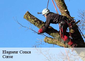 Elagueur  conca-20135 Corse