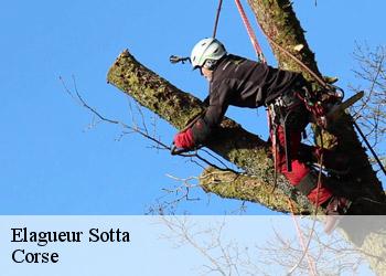 Elagueur sotta-20146 Corse