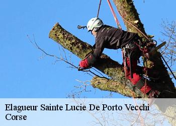 Elagueur  sainte-lucie-de-porto-vecchi-20144 Corse