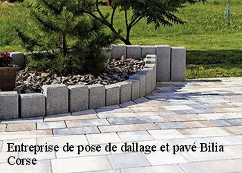 Entreprise de pose de dallage et pavé bilia-20100 Corse