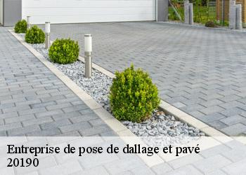 Entreprise de pose de dallage et pavé  20190