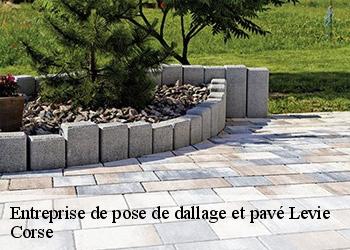 Entreprise de pose de dallage et pavé levie-20170 Corse