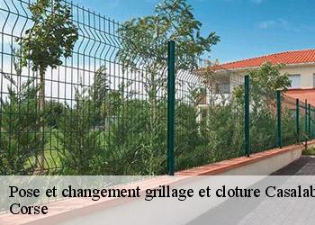 Pose et changement grillage et cloture  casalabriva-20140 Corse