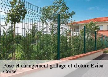 Pose et changement grillage et cloture evisa-20126 Corse
