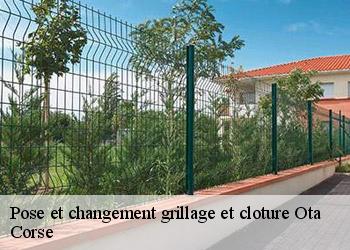 Pose et changement grillage et cloture  ota-20150 Corse