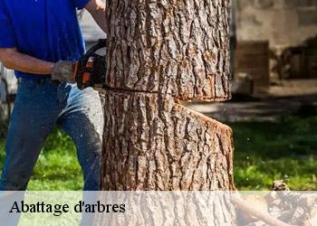 Abattage d'arbres