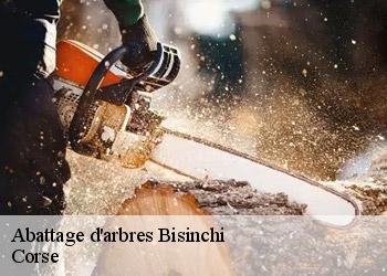 Abattage d'arbres  bisinchi-20235 Corse