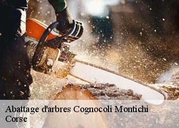 Abattage d'arbres  cognocoli-montichi-20123 Corse
