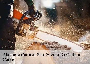 Abattage d'arbres san-gavino-di-carbini-20170 Corse