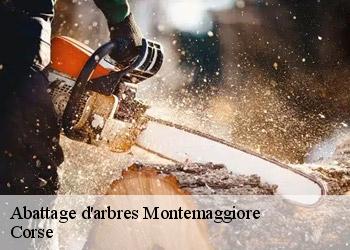 Abattage d'arbres  montemaggiore-20214 Corse