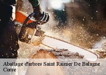Abattage d'arbres saint-rainier-de-balagne-20214 Corse