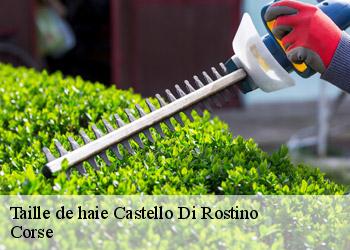 Taille de haie castello-di-rostino-20235 Corse