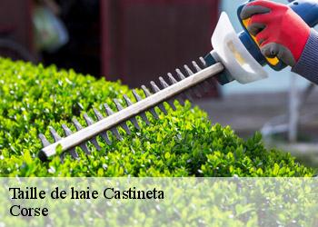 Taille de haie castineta-20218 Corse