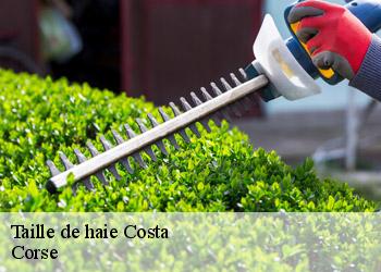 Taille de haie  costa-20226 Corse