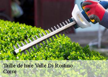 Taille de haie valle-di-rostino-20235 Corse