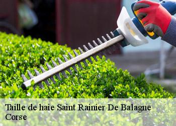 Taille de haie  saint-rainier-de-balagne-20214 Corse