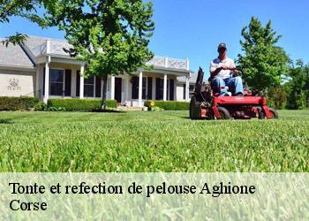 Tonte et refection de pelouse  aghione-20270 Corse