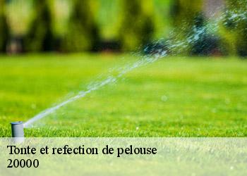 Tonte et refection de pelouse  20000