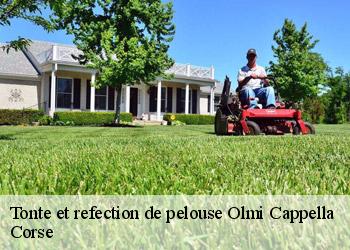 Tonte et refection de pelouse olmi-cappella-20259 Corse