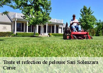 Tonte et refection de pelouse  sari-solenzara-20145 Corse