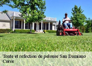 Tonte et refection de pelouse san-damiano-20264 Corse