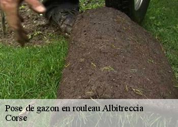 Pose de gazon en rouleau  albitreccia-20128 Corse