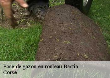 Pose de gazon en rouleau  bastia-20200 Corse