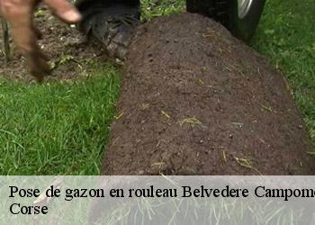 Pose de gazon en rouleau  belvedere-campomoro-20110 Corse