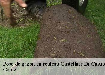 Pose de gazon en rouleau  castellare-di-casinca-20213 Artisan SALES Élagueur 20