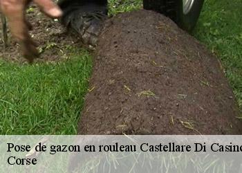 Pose de gazon en rouleau castellare-di-casinca-20213 Corse