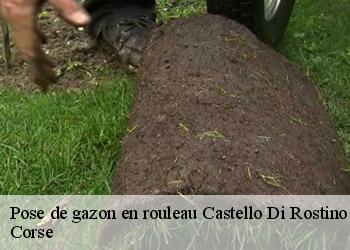 Pose de gazon en rouleau castello-di-rostino-20235 Corse