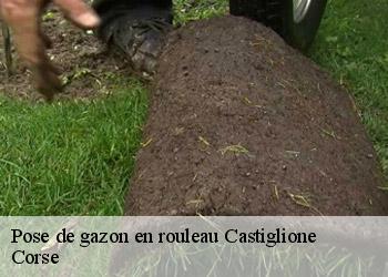 Pose de gazon en rouleau  castiglione-20218 Corse