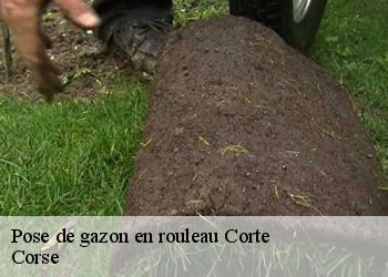 Pose de gazon en rouleau corte-20250 Corse