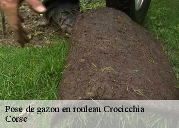 Pose de gazon en rouleau  crocicchia-20290 Corse