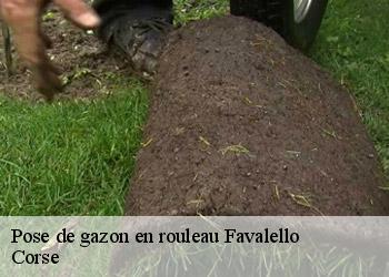 Pose de gazon en rouleau  favalello-20212 Corse