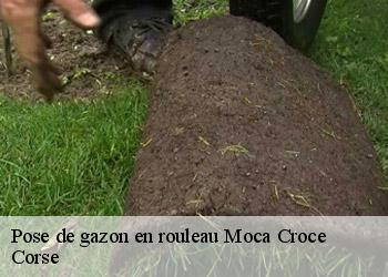 Pose de gazon en rouleau  moca-croce-20140 Corse