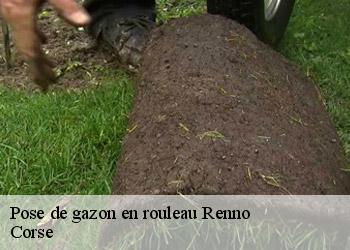 Pose de gazon en rouleau renno-20160 Corse