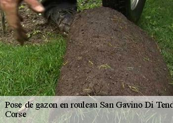 Pose de gazon en rouleau san-gavino-di-tenda-20246 Corse