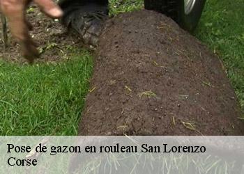 Pose de gazon en rouleau san-lorenzo-20244 Corse