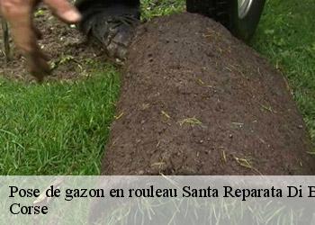 Pose de gazon en rouleau  santa-reparata-di-balagna-20220 Corse