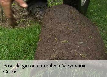 Pose de gazon en rouleau vizzavona-20219 Corse
