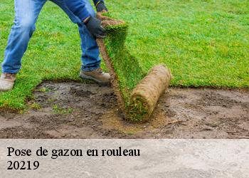 Pose de gazon en rouleau 20219