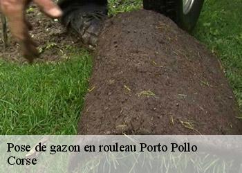 Pose de gazon en rouleau  porto-pollo-20140 Artisan SALES Élagueur 20