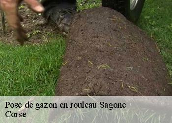 Pose de gazon en rouleau  sagone-20118 Corse