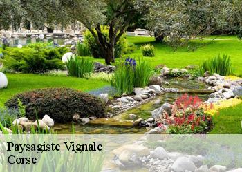 Paysagiste vignale-20290 Corse