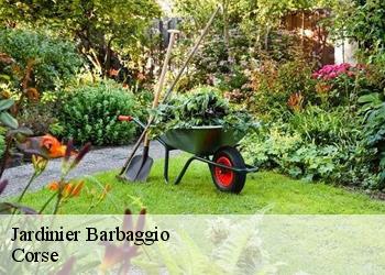 Jardinier  barbaggio-20253 Artisan SALES Élagueur 20