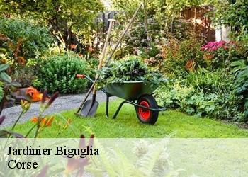 Jardinier biguglia-20620 Corse