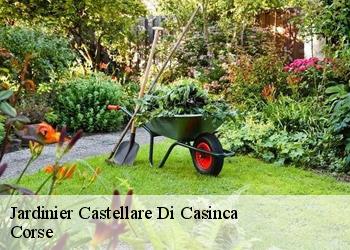 Jardinier  castellare-di-casinca-20213 Corse