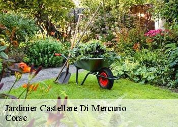 Jardinier castellare-di-mercurio-20212 Corse